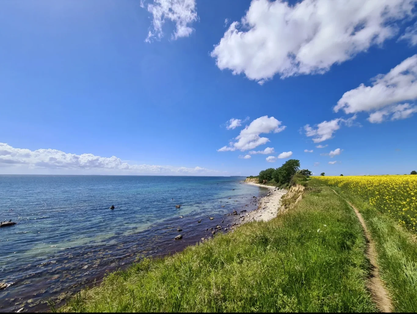 Staberhuk Steilküste und Ostseeblick am Naturschutzgebiet Staberhuk auf Fehmarn
