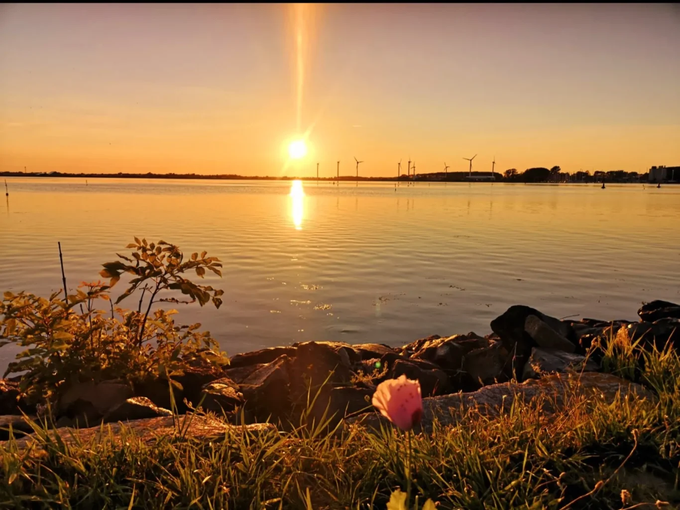 Hafeneinfahrt Sonnenuntergang an der Ostsee auf Fehmarn
