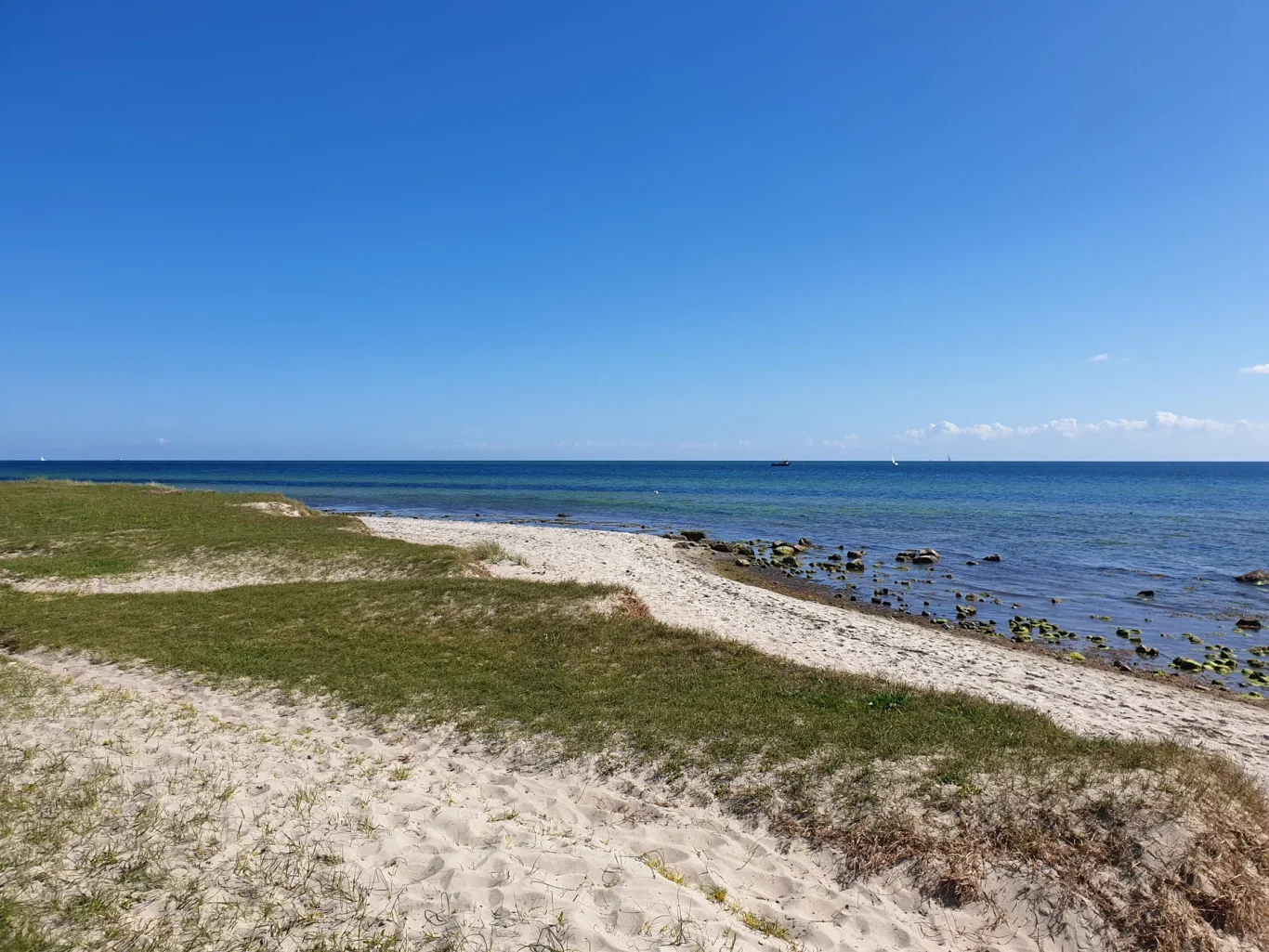 Fehmarnsund Küstenlandschaft am Fehmarnsund mit Naturstrand und Blick auf die Ostsee